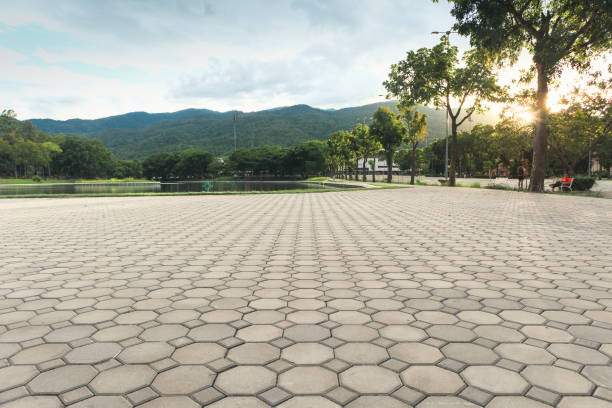 Best Custom Driveway Pavers  in Olympia Fields, IL