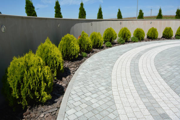 Best Driveway Paving Near Me  in Olympia Fields, IL