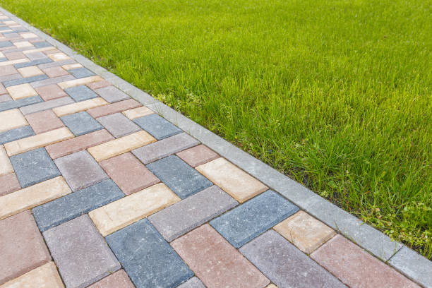 Best Driveway Paving Contractor  in Olympia Fields, IL
